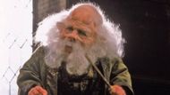 Warwick Davis | Image via Warner Bros.